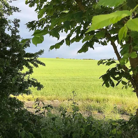 Meadow Tatil Evi Scarborough