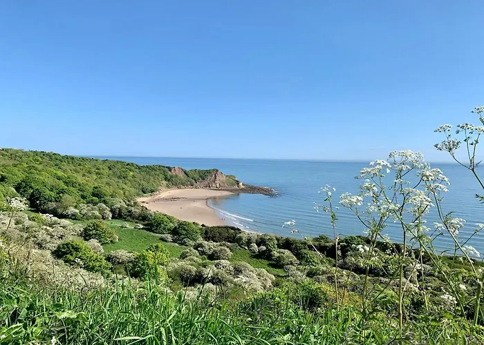 Meadow Tatil Evi Scarborough